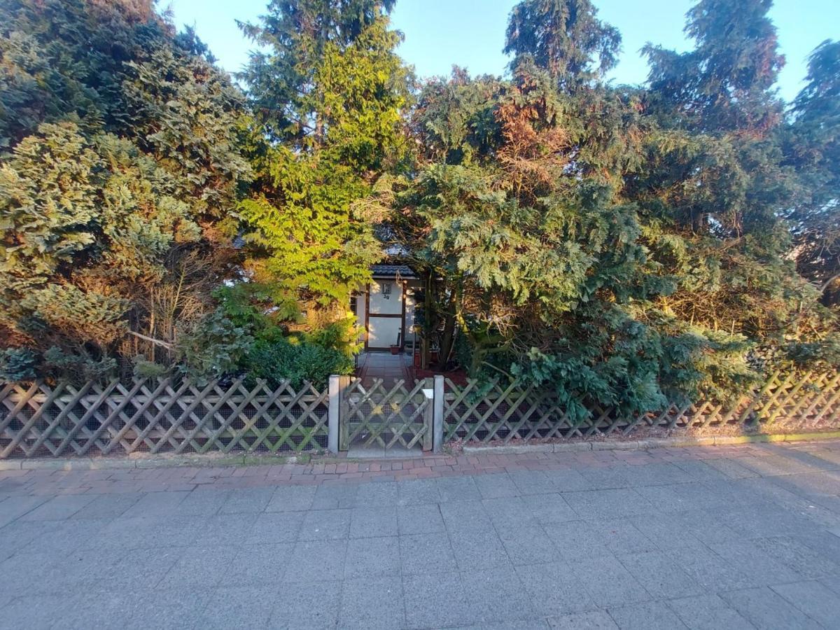 Cissy Holiday home